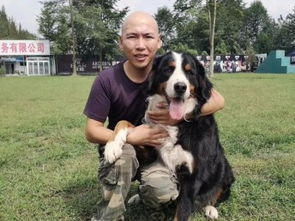 專業訓狗，成就非凡 成都勇軍訓犬基地的服務與價值