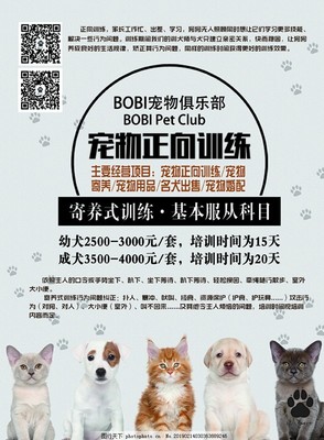 寵愛無限，服務無憂——新店開業，專為愛寵而來！